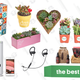 Image for article titled Monday's Best Deals: Succulents, Sous Vide, Samsung MicroSD, and More